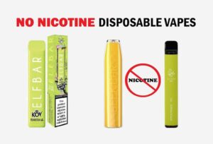 0 Disposable Nicotine Vapes