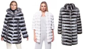 chinchilla coat |chinchilla fur |chinchilla jacket