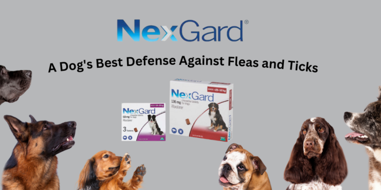 NexGard SPECTRA protects against fleas, ticks, mites, heartworms, and ...