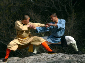 martial arts in aurora 