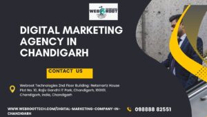 digital marketing agency in Chandigarh