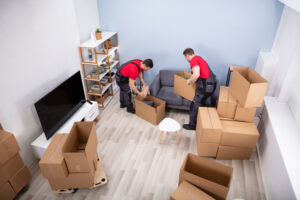 expert movers and packers in dubai
